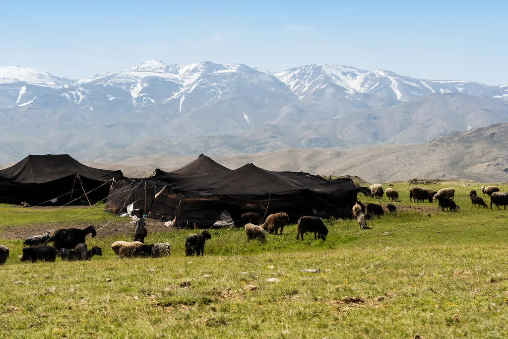 Muş'ta yayla ve oba kültürü: güz göçü ve kırsal hayat